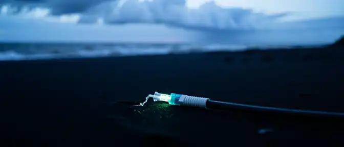 Цифровая тишина: Камчатка готовится к временному отключению интернета