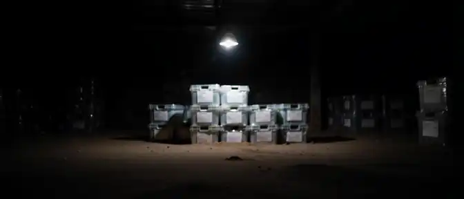 Ресурсы против вируса: сможет ли ВОЗ остановить Эболу в Конго в ближайшие 90 дней?