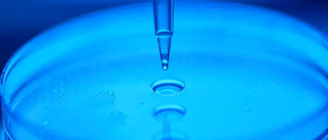 Новая технология CRISPR/Cas от специалистов Роспотребнадзора позволит точнее определять устойчивость бактерий к антибиотикам